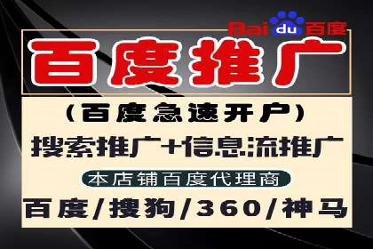 SEM服务案例：助力企业拓展海外市场